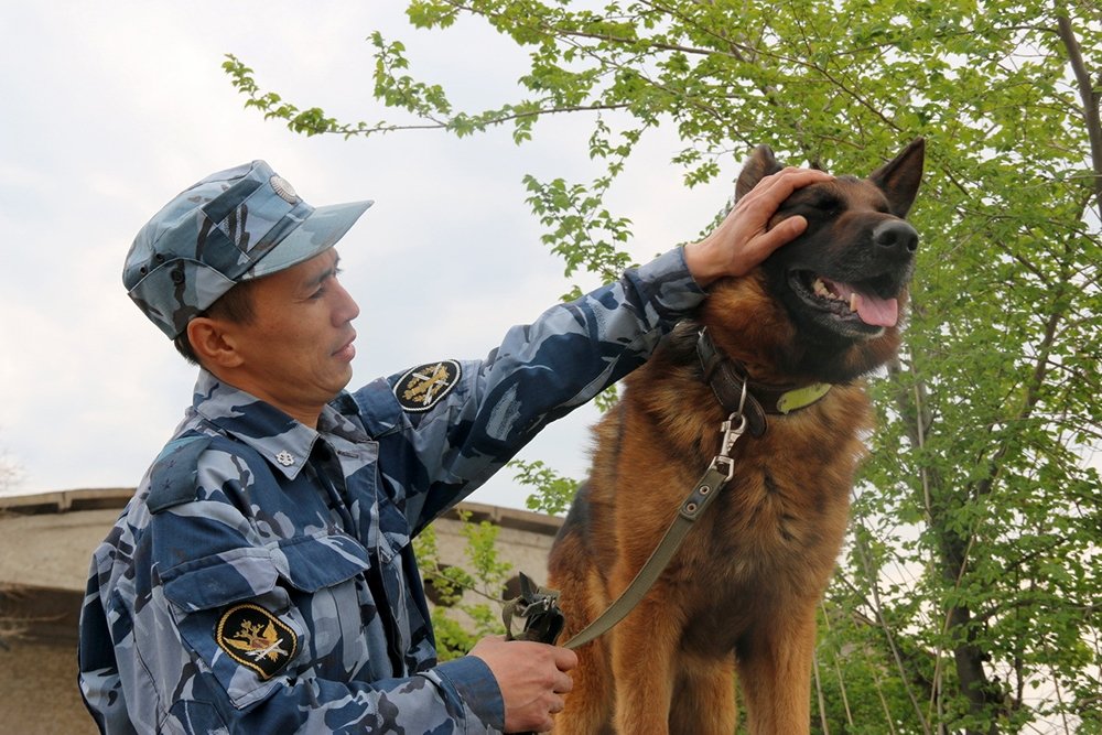 Кинолог с собакой фото — Каталог Фото