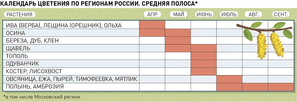 Календарь цветения по регионам России. Cредняя полоса России.