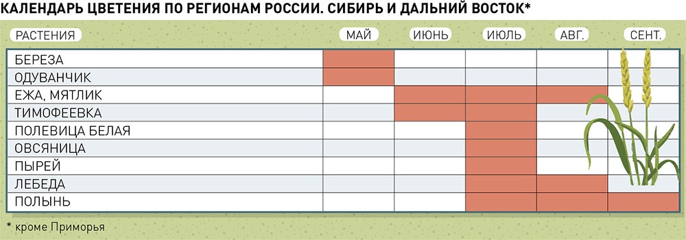 Календарь цветения по регионам России Сибирь и Дальний Восток.