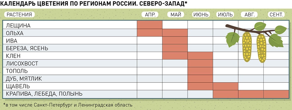 Календарь цветения по регионам России. Северо-запад Росии.