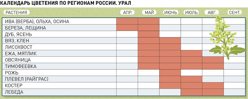 Календарь цветения по регионам России. Урал.