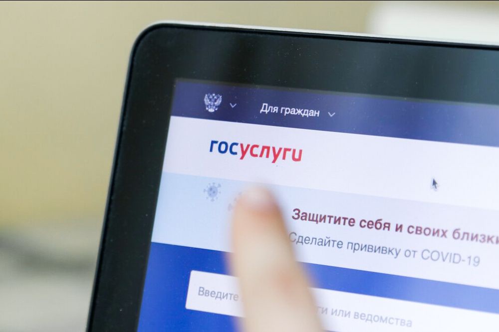 портал госуслуг