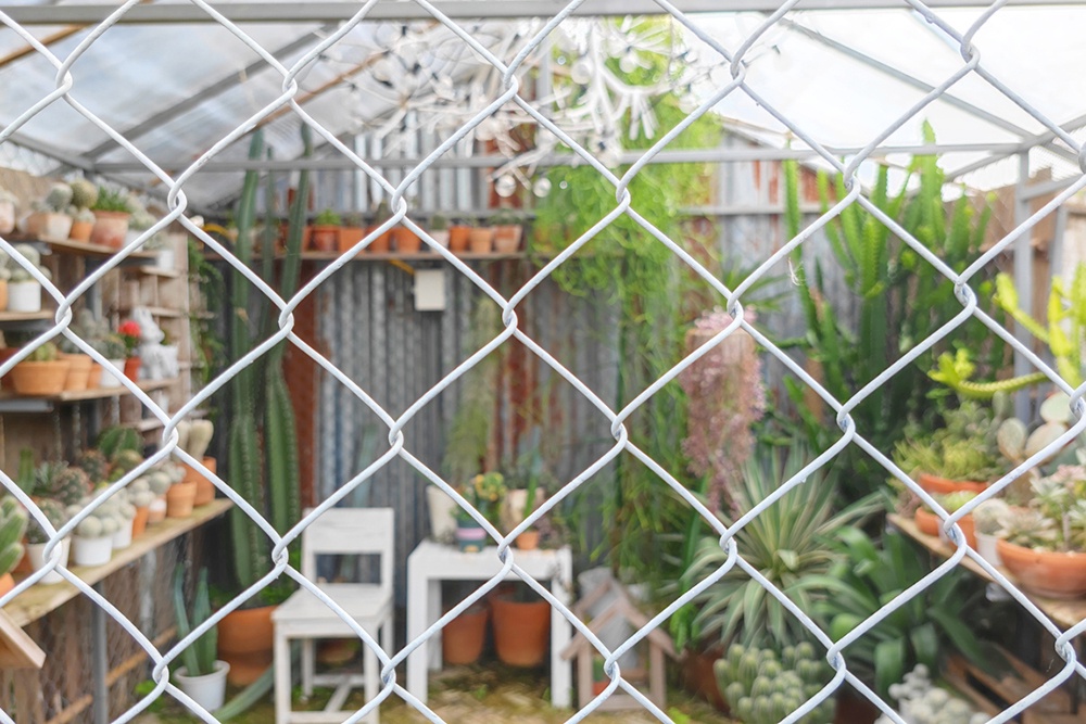 Вид на сад за сеткой-рабицей