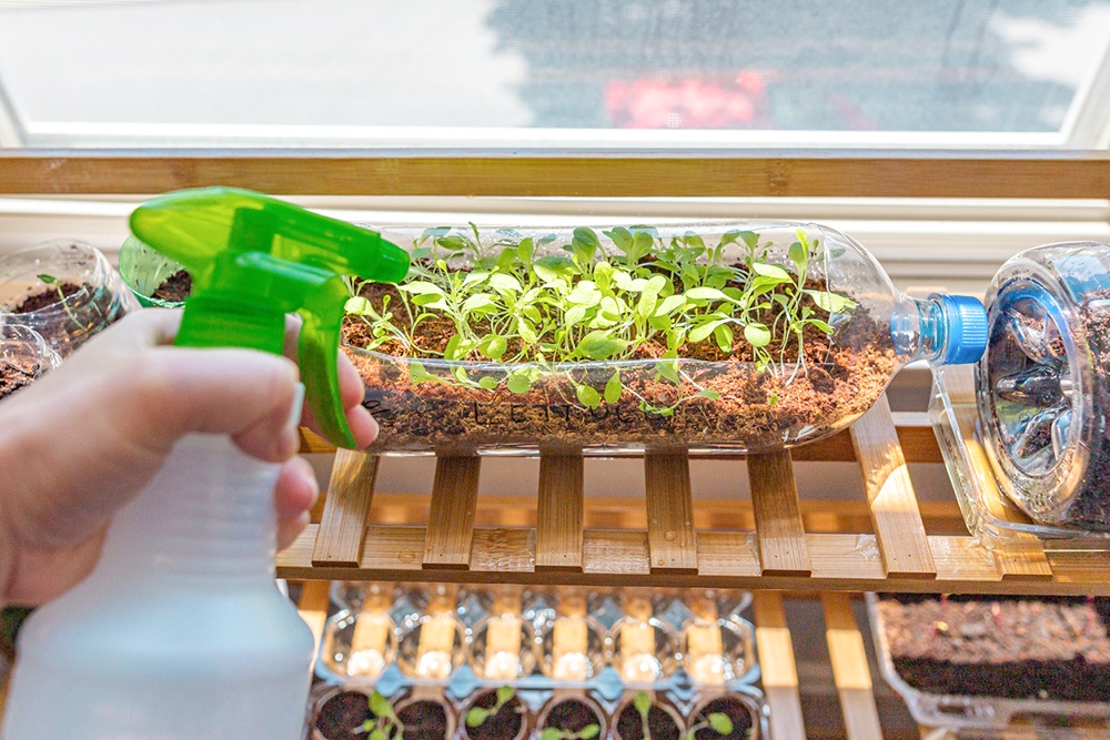 Парник из бутылок