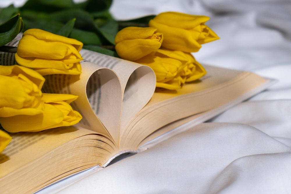 Листы книги сложены в виде сердечка