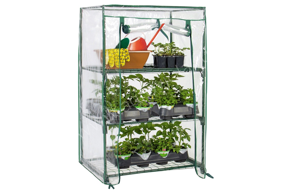 Партин Маргарита