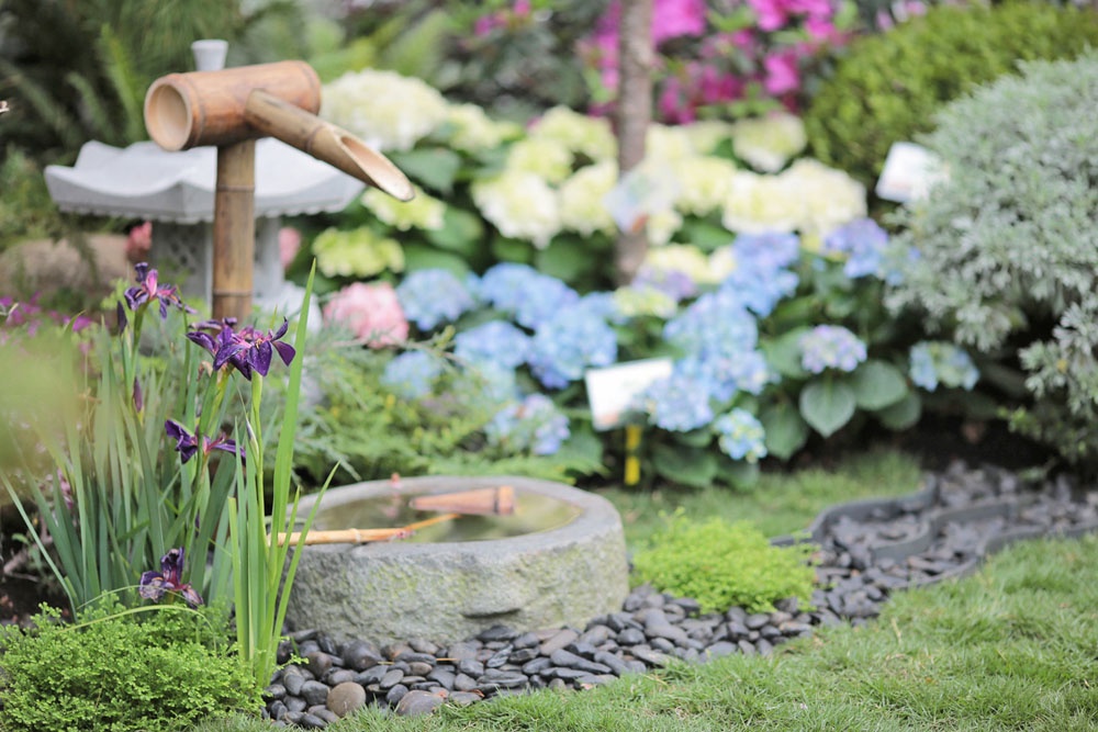 Декор сухого ручья