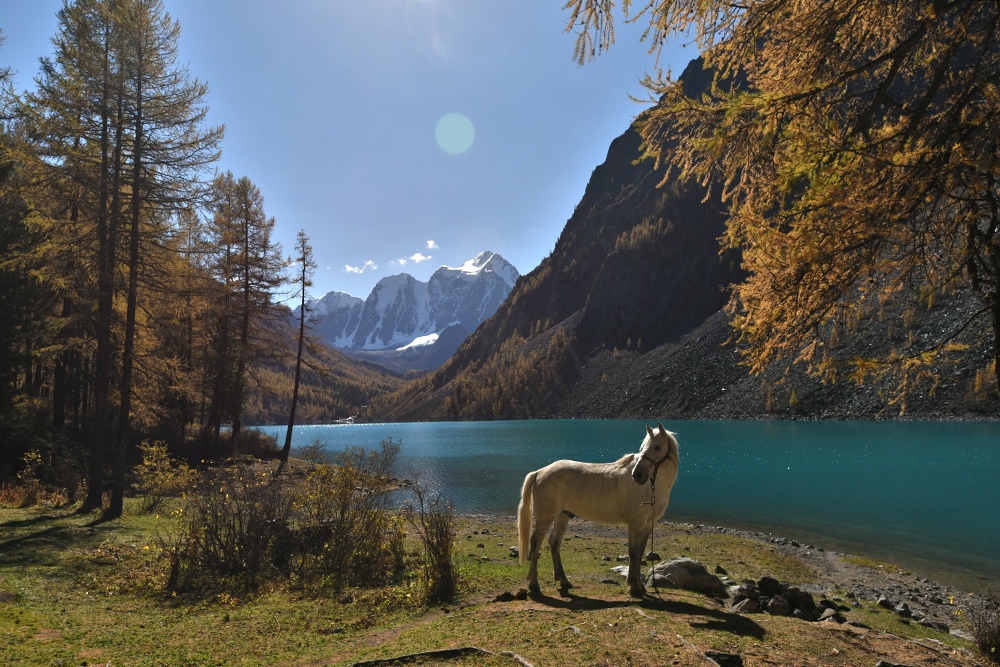 Нижнее Шавлинское озеро