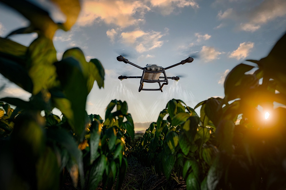 Дрон над сельскохозяйственным полем