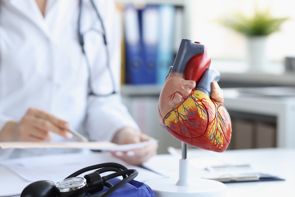 Макет сердца