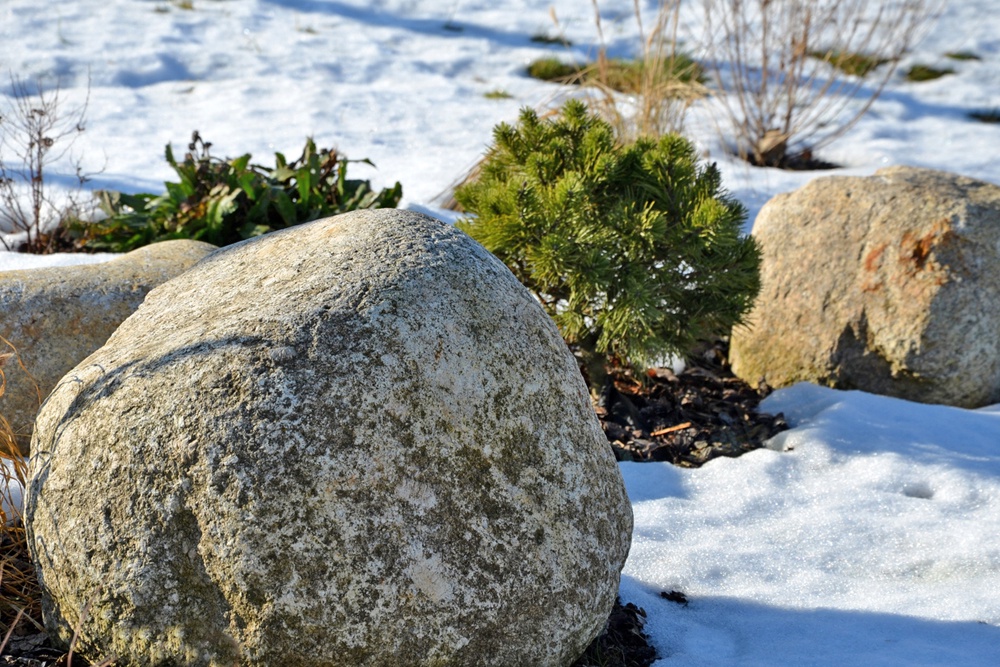 Альпийская горка зимой