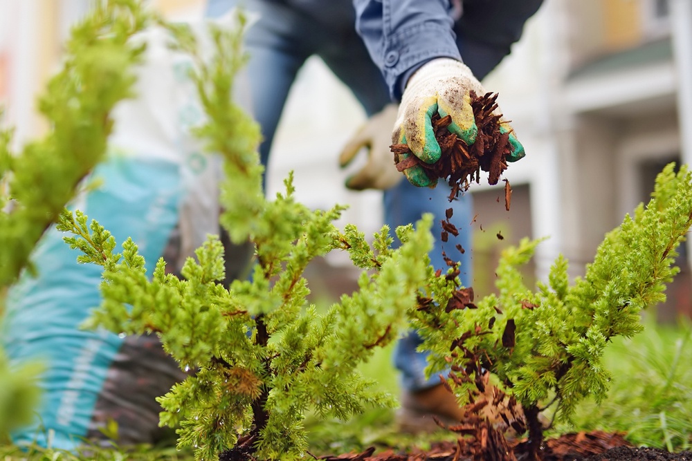 Работа с землей