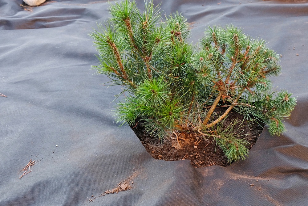 Геотекстиль