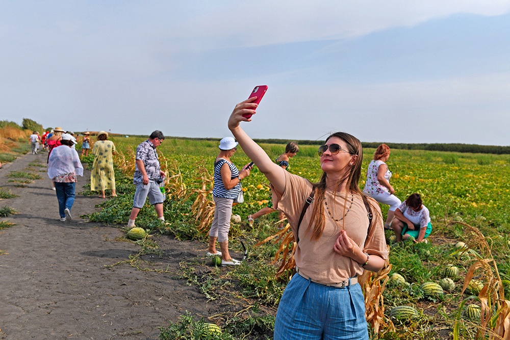 Девушка делает селфи на поле с арбузами