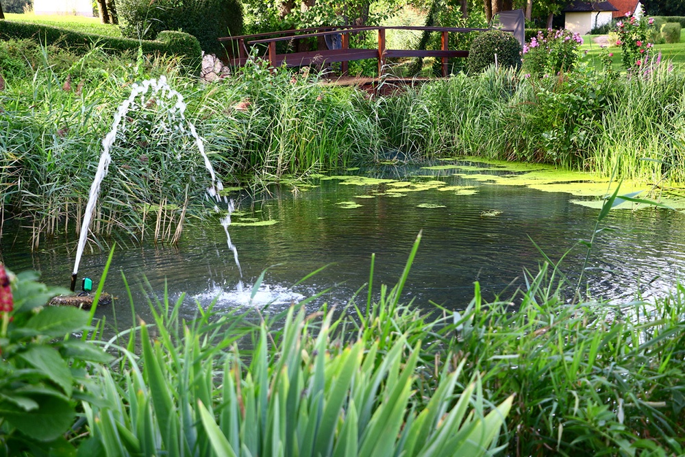 водоем с фонтанчиком