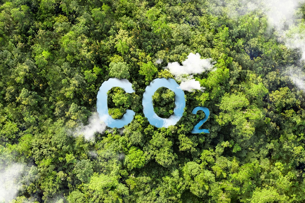 Выбросы углекислого газа