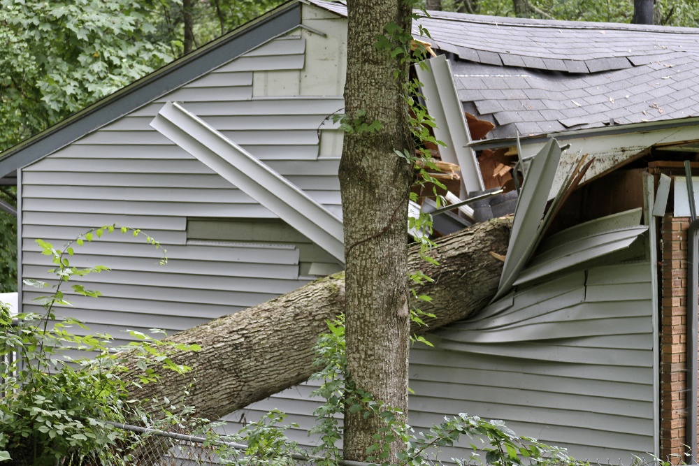 дерево упало на дом