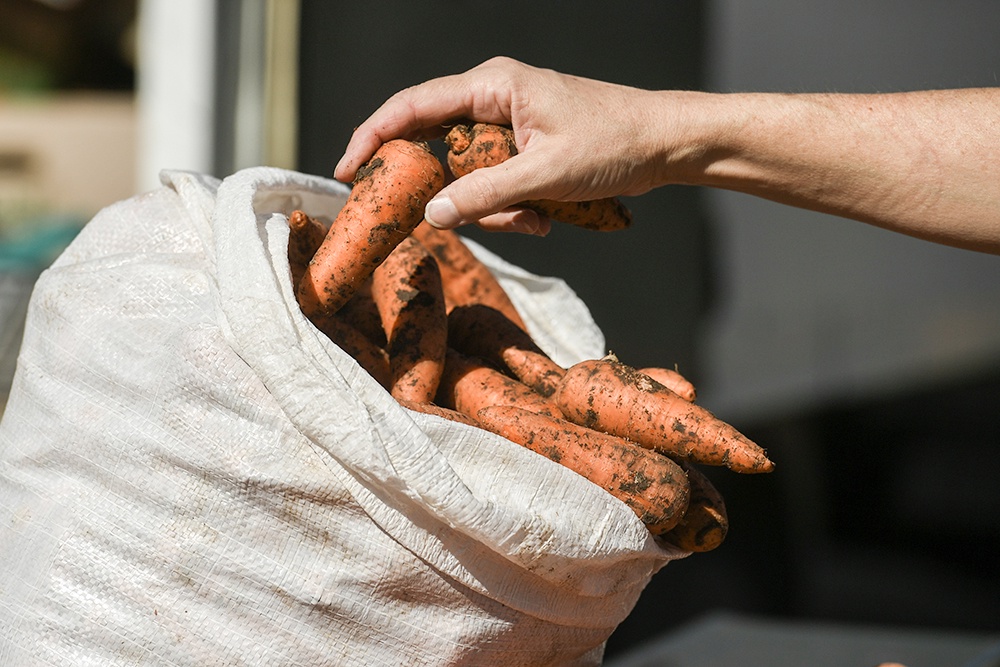 Хранение моркови