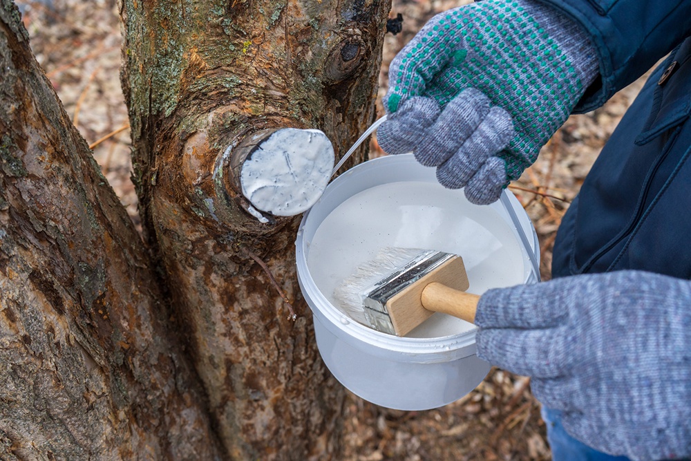 Ведро побелки