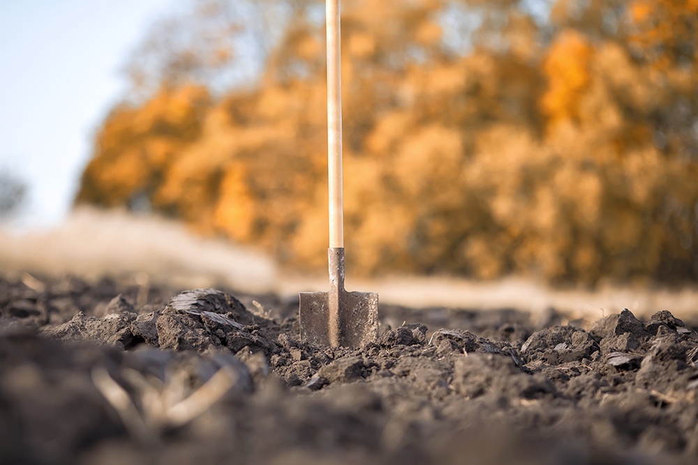 Лопата воткнута в землю