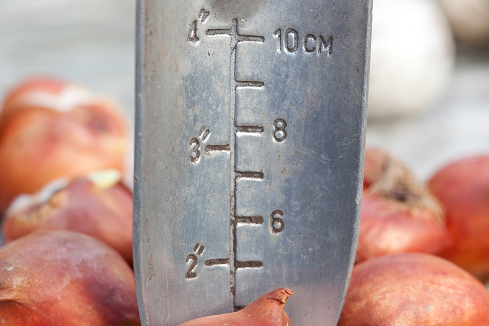 Садовый совок с линейкой для измерения глубины