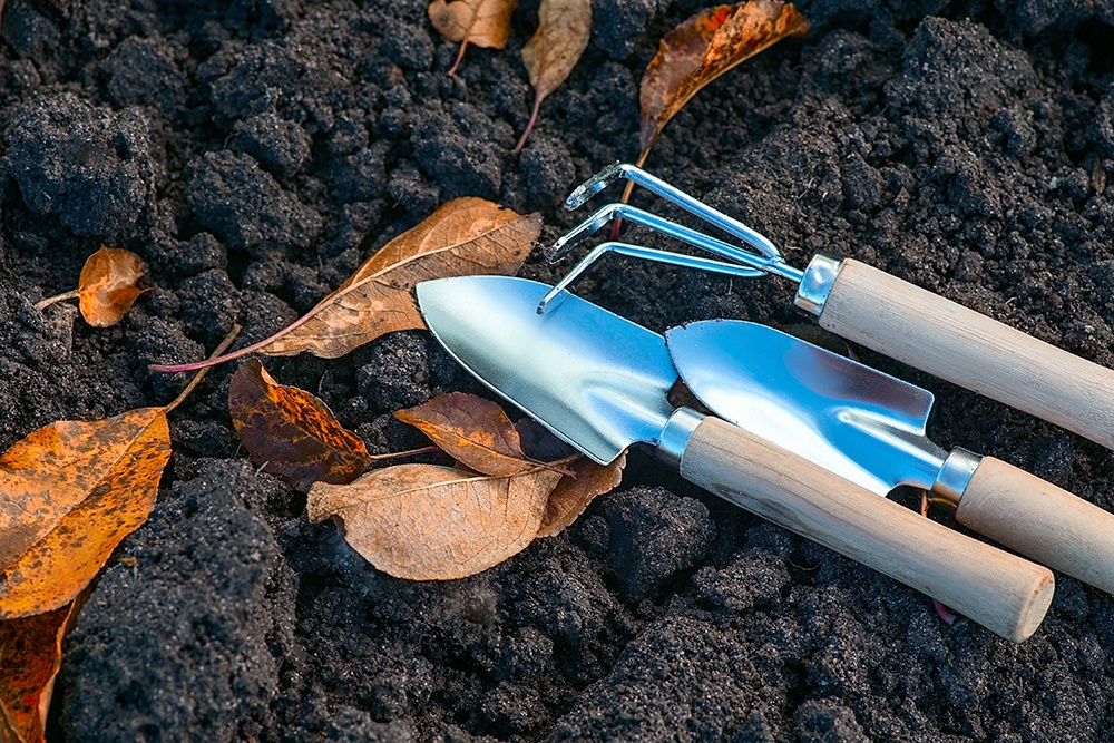 Садовые инструменты на земле с садовыми лисьтьями