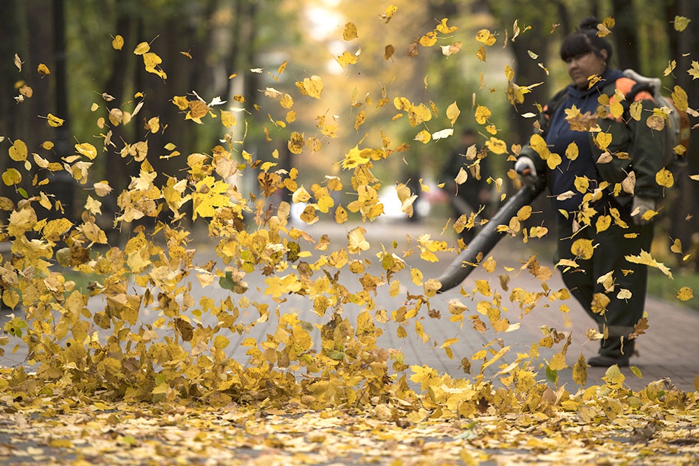 уборка листьев