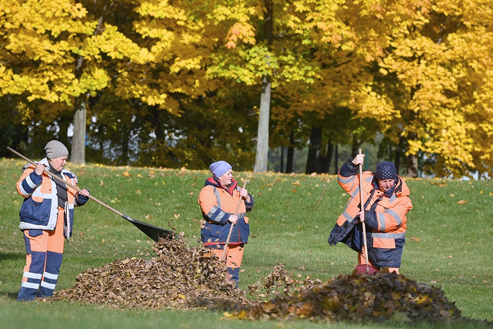 Коммунальные службы убирают листву