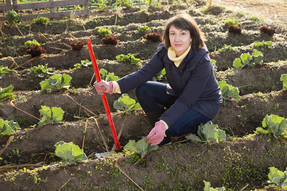 Женщина с мотыгой на грядках