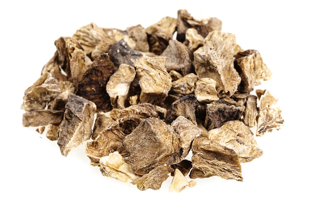 Выпущенные корни цикория