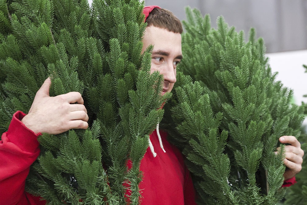 Мужчина несет искусственную елку
