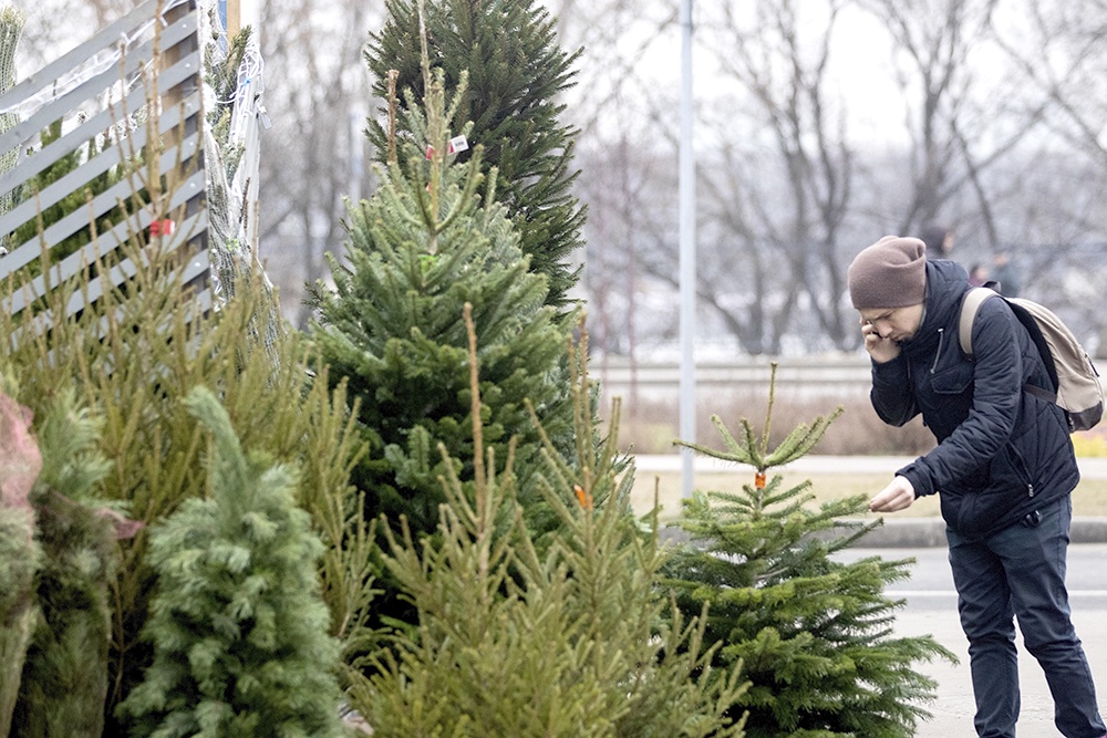 мужчина покупает елку