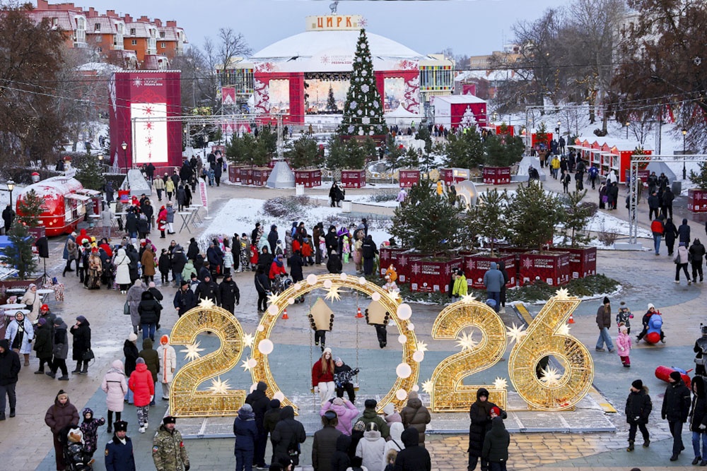 Рязань новогодняя елка