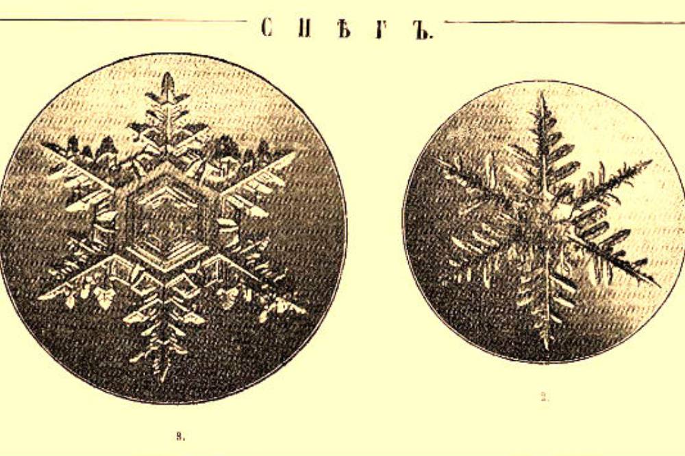 Изображение снежинок от ярославского фотографа Андрея Сигсона