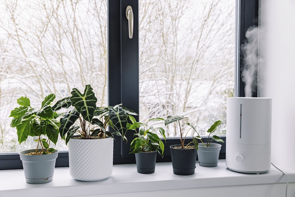 Увлажнитель воздуха на зимнем окне