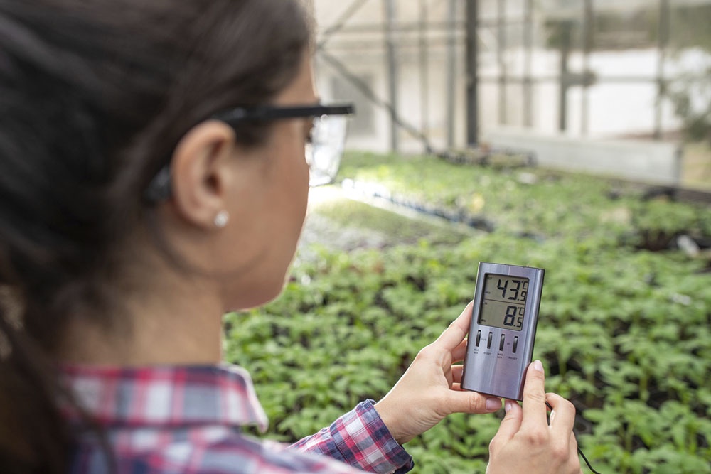 Современный контроль микроклимата в теплице