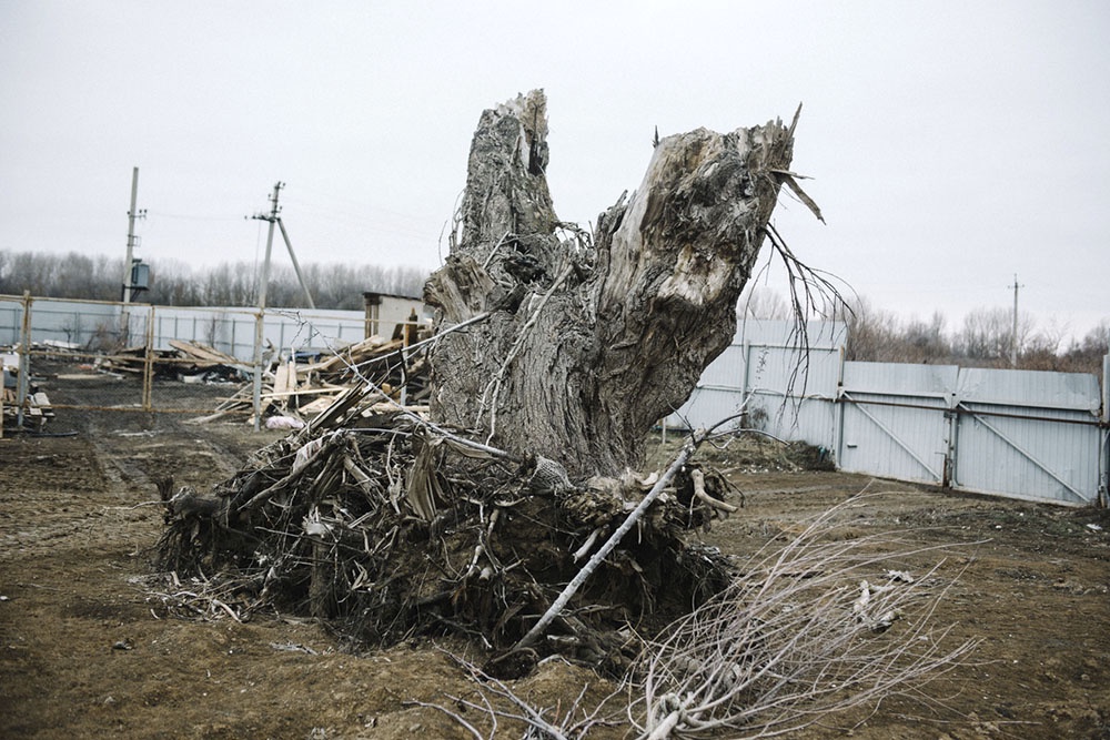 Корчевание пней  на участке под дом.