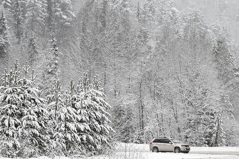 Автомобиль движется по трассе в зимнем лесу.
