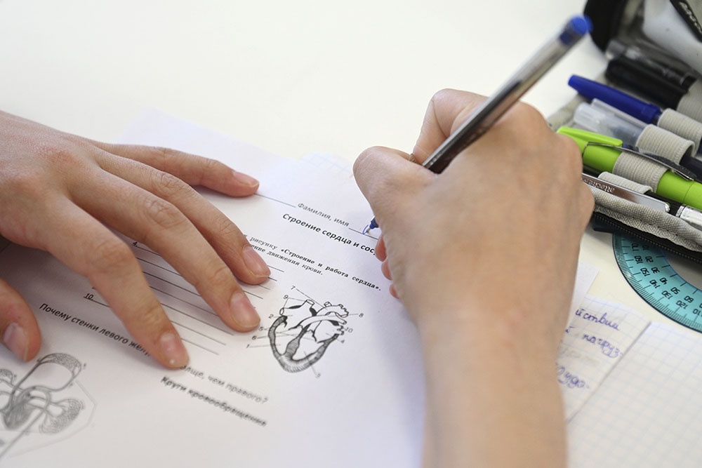 Школьник решает задание по биологии.