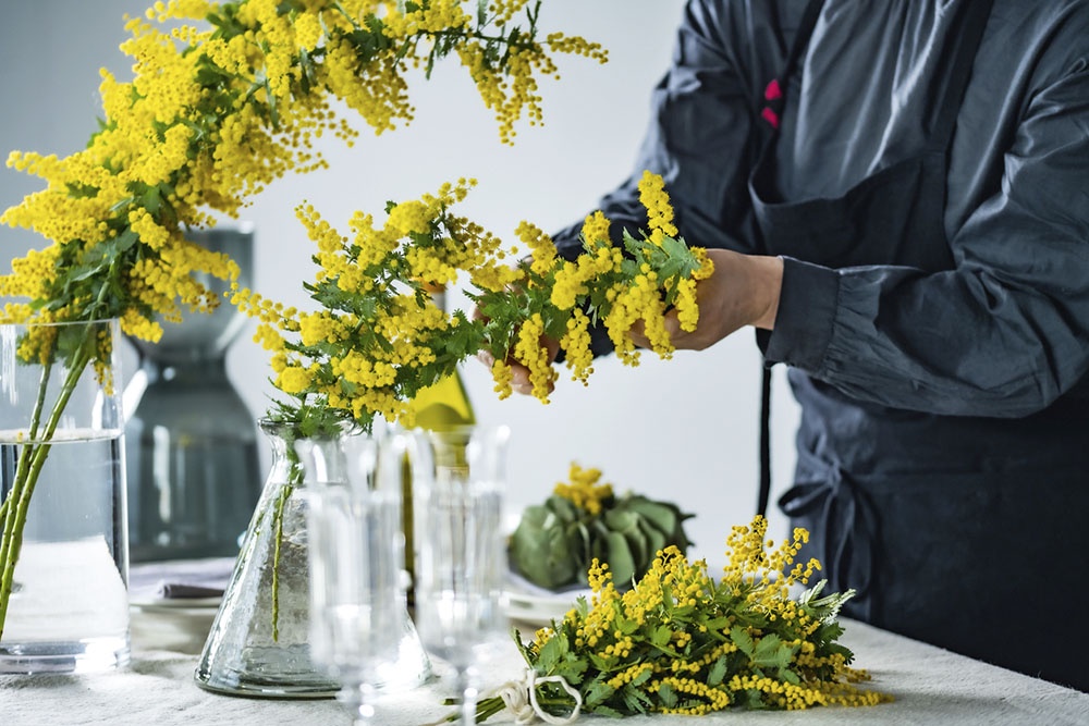 Женщина украшает квартиру веточками мимозы.