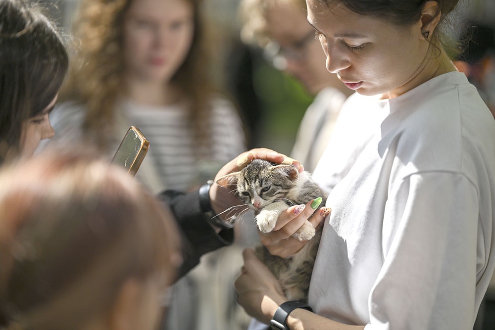 Празднование Всемирного дня петербургских котов и кошек на Конногвардейском бульваре в Санкт-Петербурге.