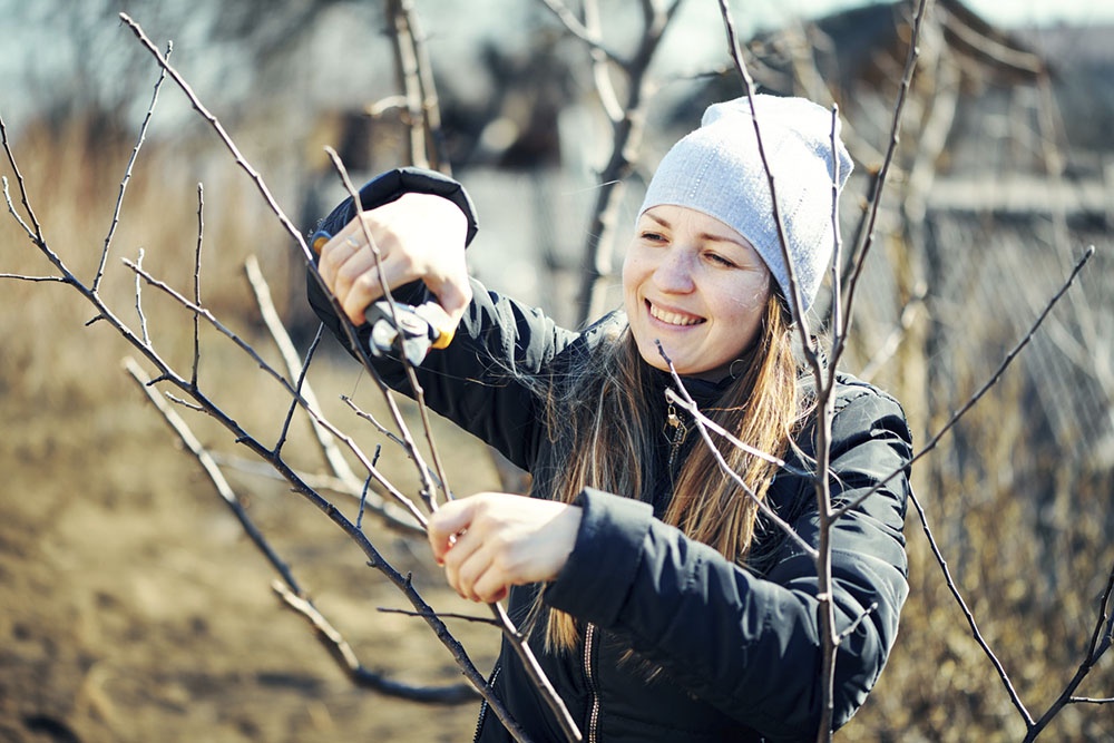 Обрезка деревьев.