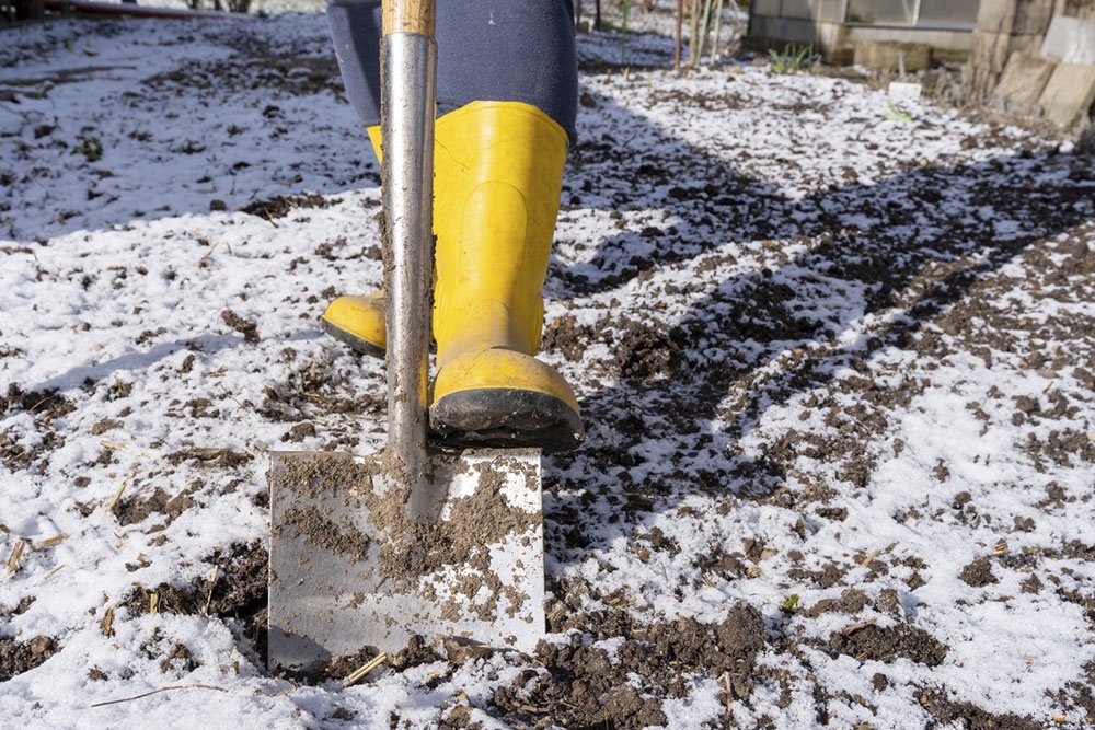 Перекапывать почву до того, как сошел снег, нельзя.