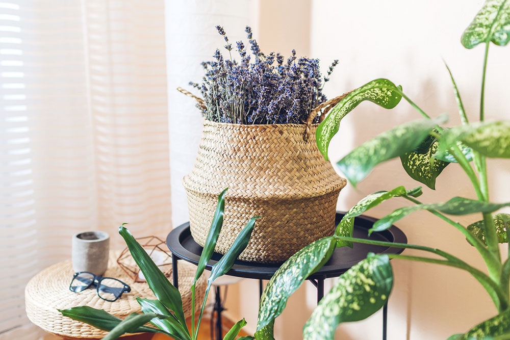 Лаванда в интерьере квартиры.