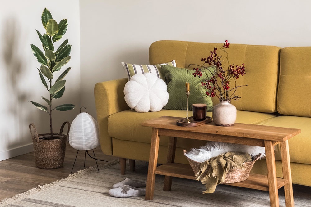 Растения в интерьере квартире.