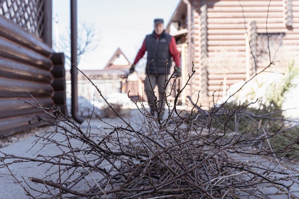 Мужчина убирает сухие ветки с дорожки.