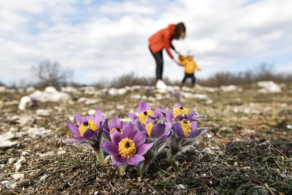 Весна, мама с ребенком на природе.