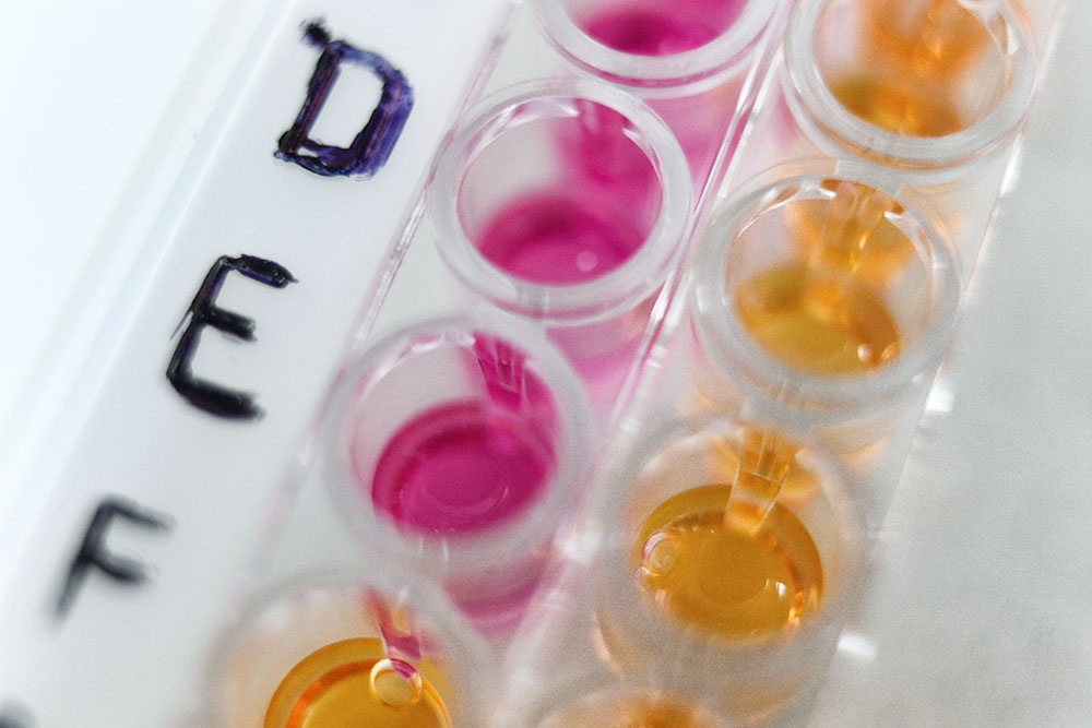 Приготовление гомогената клещей для проведения иммуноферментного анализа во время исследования иксодовых клещей на наличие вирусного энцефалита и болезни Лайма.