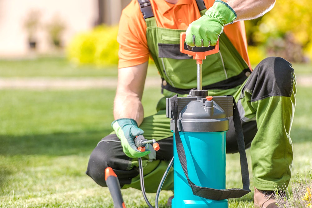 Баллон с раствором, обработка участка от клещей. 