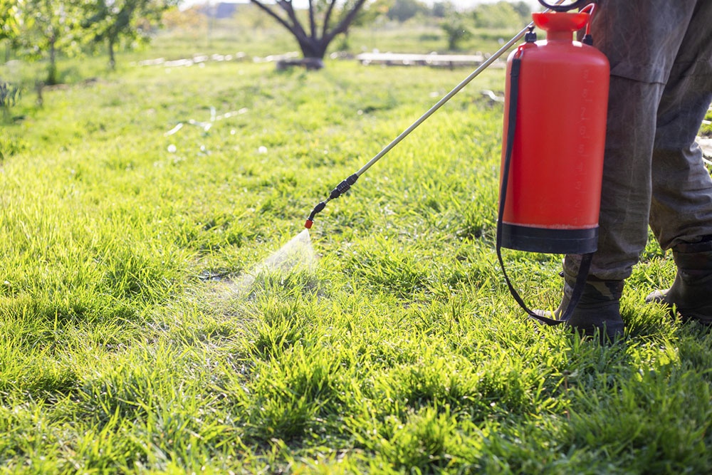 Обработка травы на участке от клещей.